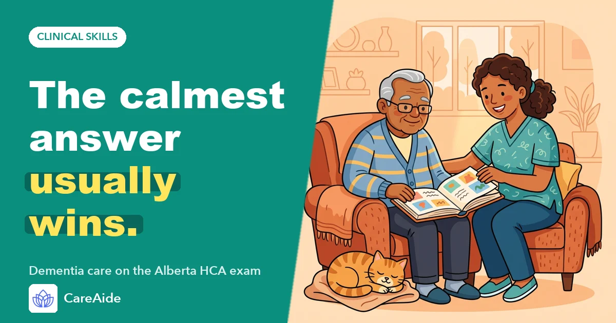 Illustration: an aide and an older resident look through a photo album together, a cat asleep nearby.