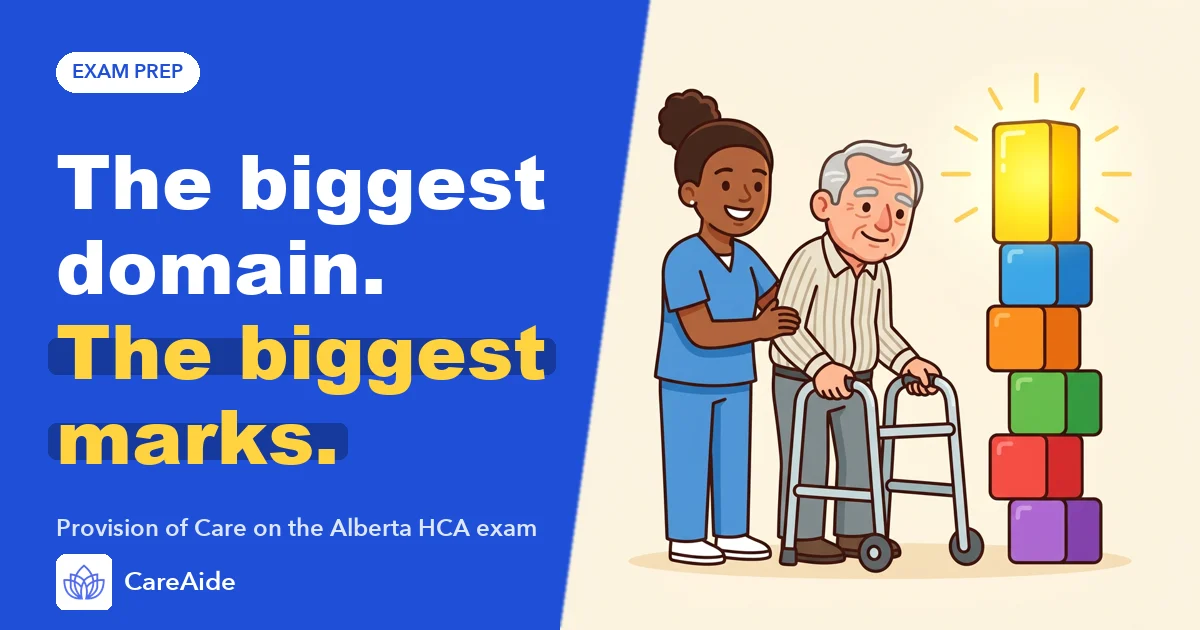 Illustration: an aide walks beside an older man with a walker next to a tall stack of coloured blocks, headline 'The biggest domain. The biggest marks.'
