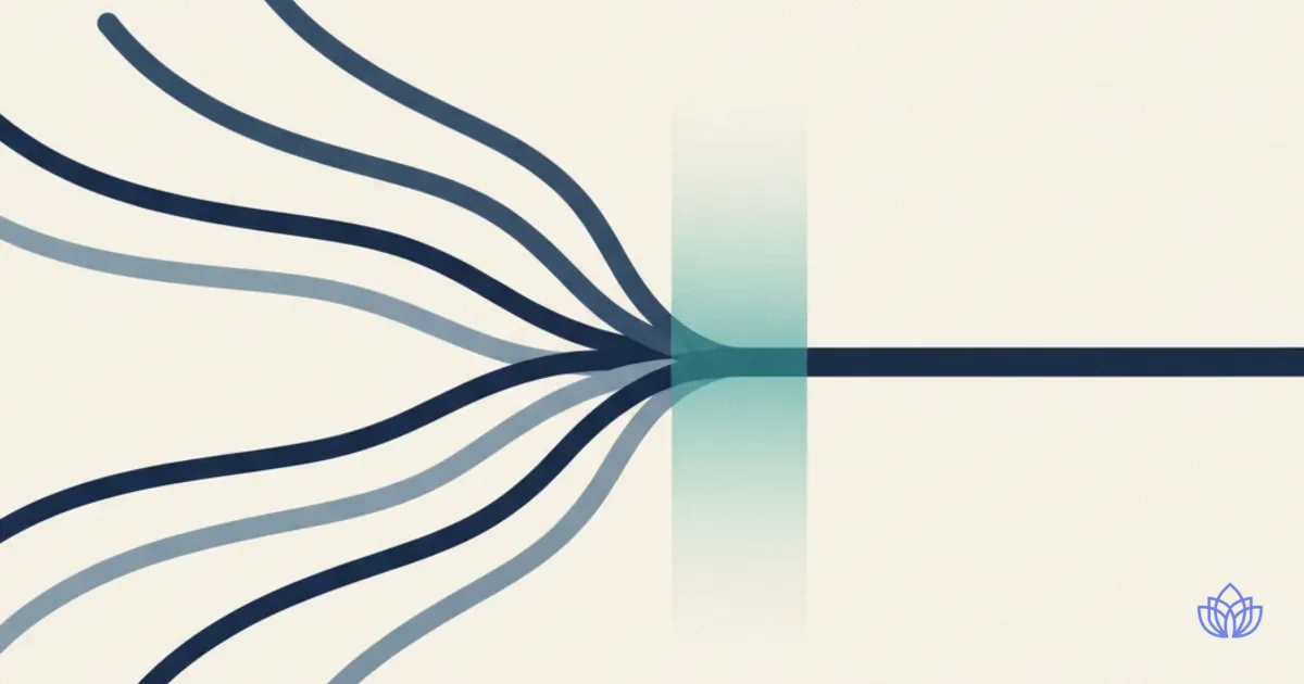 Abstract illustration: separate paths converging into a single line, for qualifications from elsewhere being assessed against one standard.